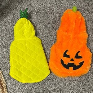 Dog Pineapple and Pumpkin Costume Set